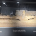 IMG 7852