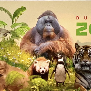 2025